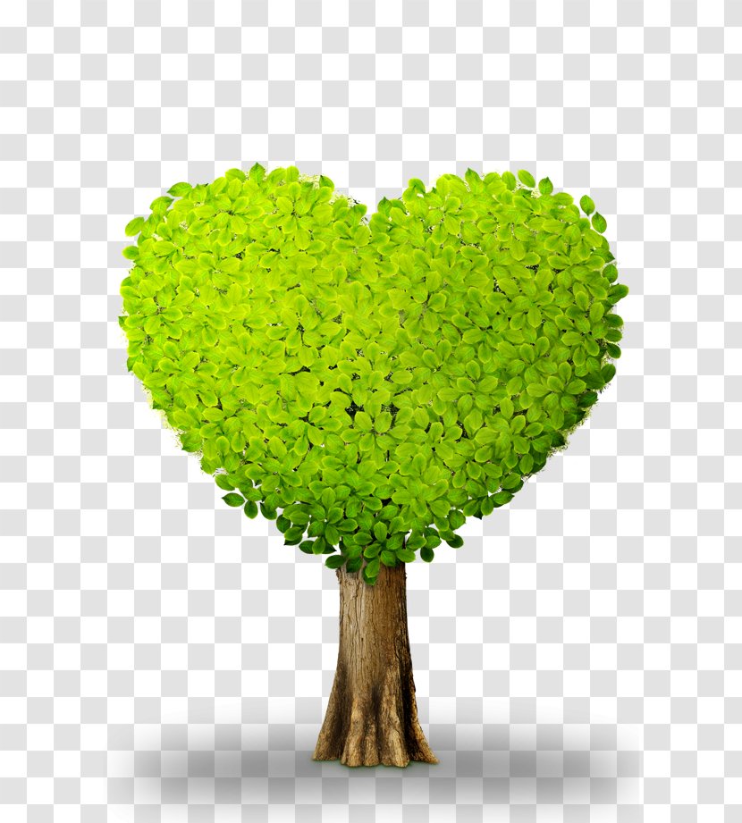 Heart Plant Download Green Chemical Element - Love - Tree Transparent PNG