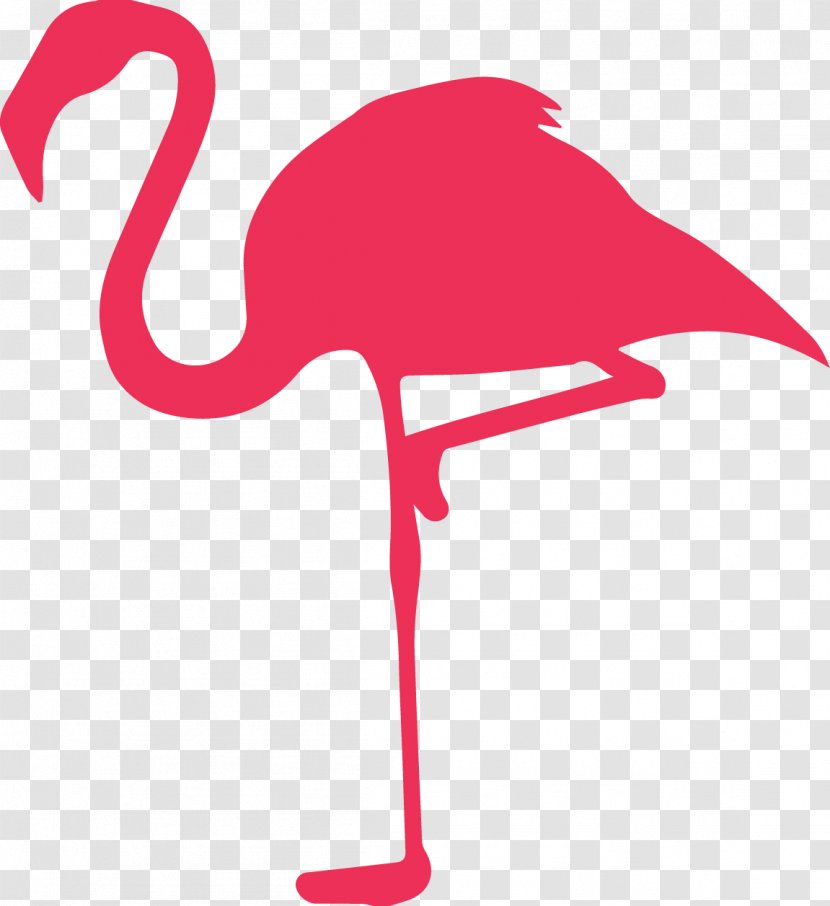 Flamingo - Wing - Photography Transparent PNG