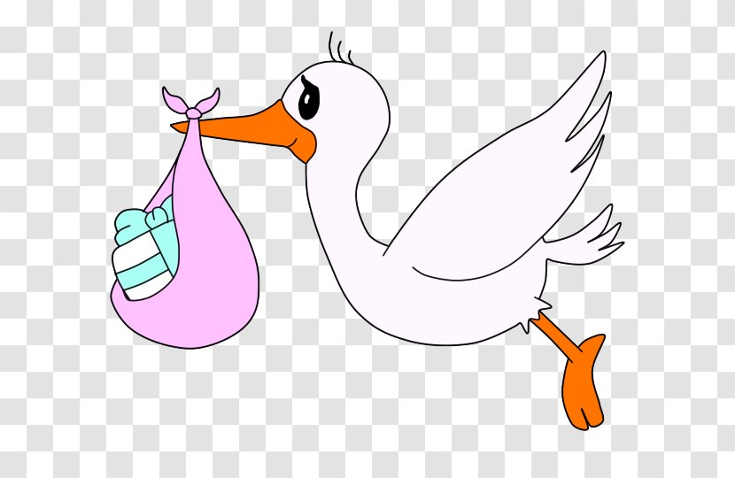 Duck Swans Clip Art Goose Beak - Cegonha Transparent PNG