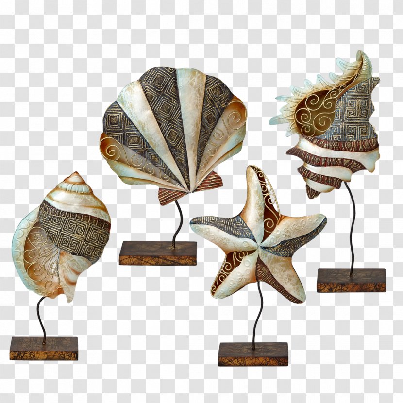 Seashell Invertebrate Sand Dollar Windowpane Oyster Starfish - Sales - Seashells Transparent PNG