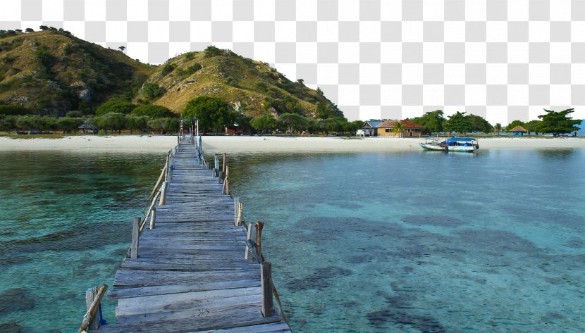 Komodo Lombok Rinca Flores Gili Islands - Coast - National Park Attractions Transparent PNG