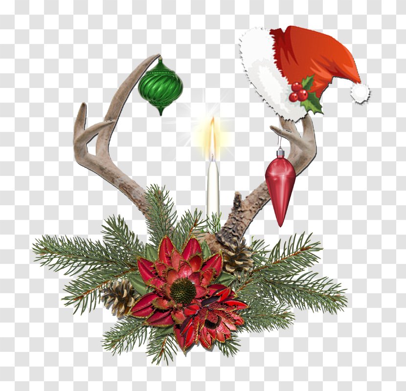 Christmas Decoration Candle Ornament Flower - Blog - Antler Transparent PNG