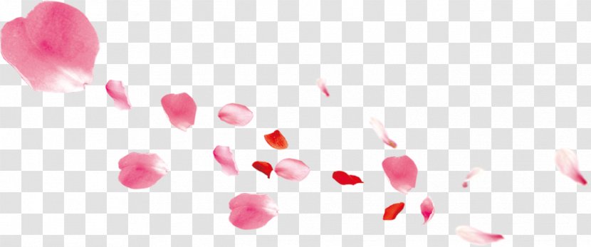 Petal Pink Gratis - Magenta - Petals Falling Transparent PNG