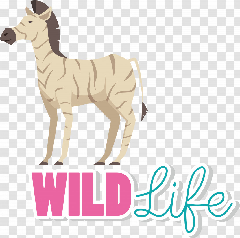 Dog Deer Fawn Breed Tail Transparent PNG