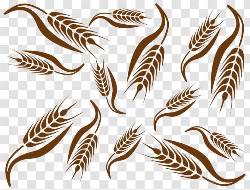 Common Wheat Ear Cereal Clip Art - Royaltyfree - Variety Of Transparent PNG