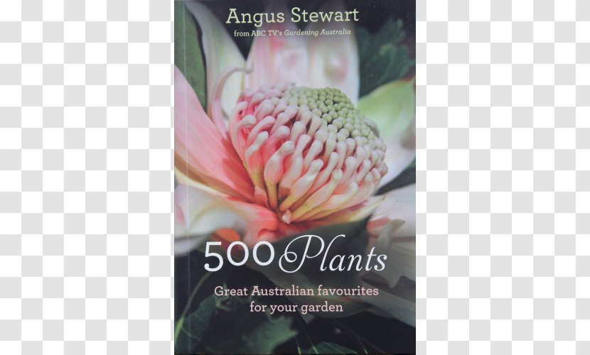 500 Plants The Australian Native Garden: A Practical Guide RHS Good Plant Creating An Garden - Protea - Australia Transparent PNG