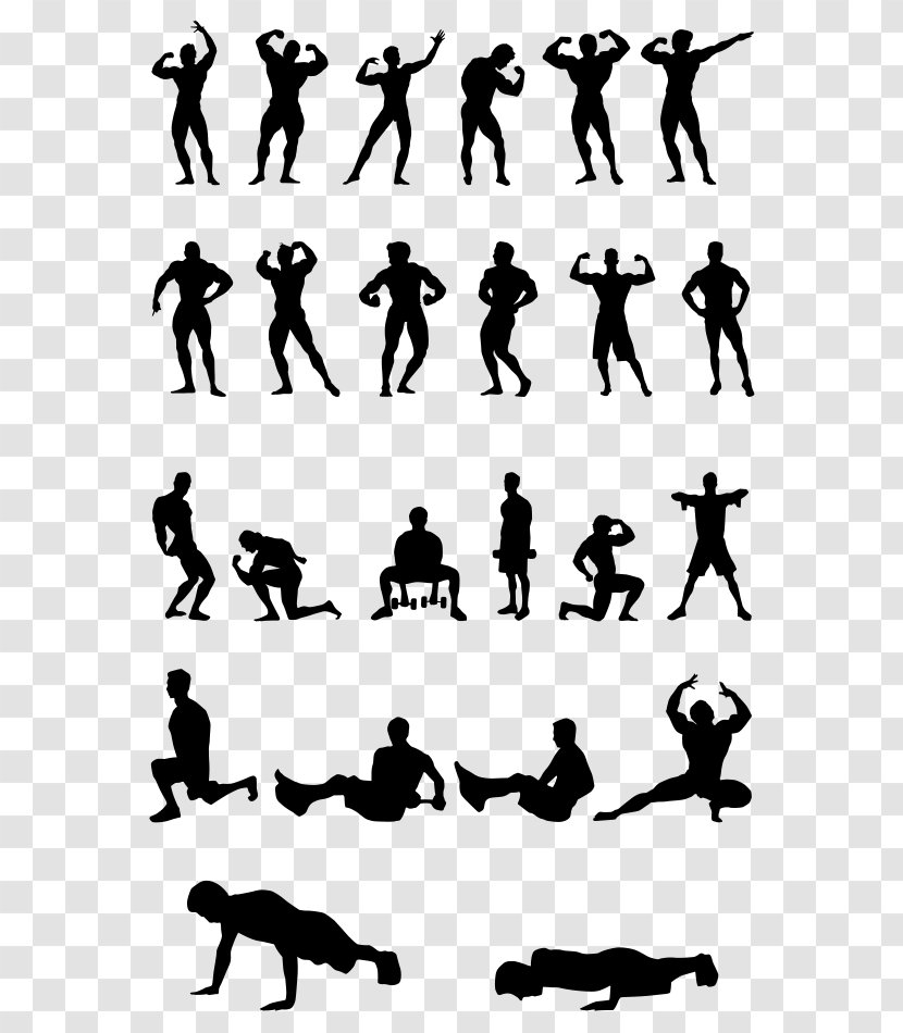 Physical Fitness Bodybuilding Computer File - Monochrome Transparent PNG