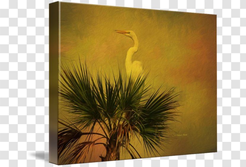 Flora Fauna Painting Beak Sky Plc Transparent PNG