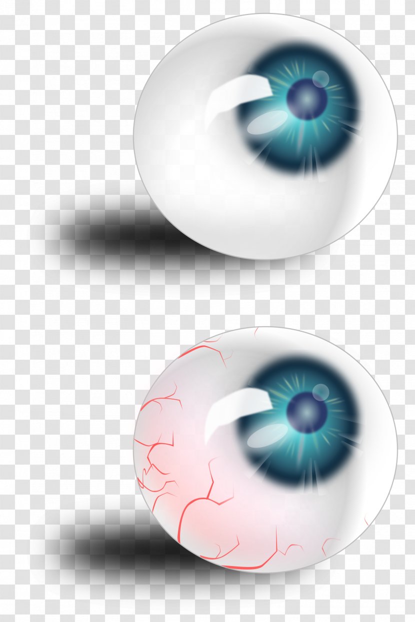 Iris Human Eye Blood Clip Art - Flower Transparent PNG