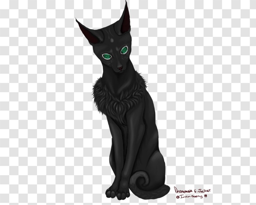 Bombay Cat Black Korat Domestic Short-haired Whiskers - Skin Scraping Transparent PNG