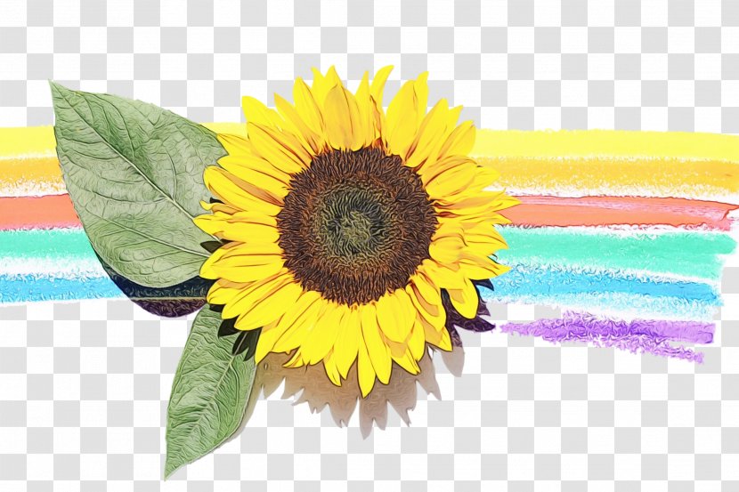 Towel Room Painting Common Sunflower Tapestry - Pollen - Plant Transparent PNG