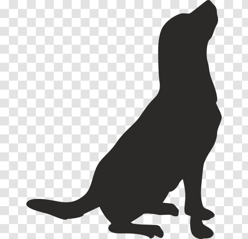 Whiskers American Pit Bull Terrier Drawing Clip Art - Hunting Dog - Silhouette Transparent PNG