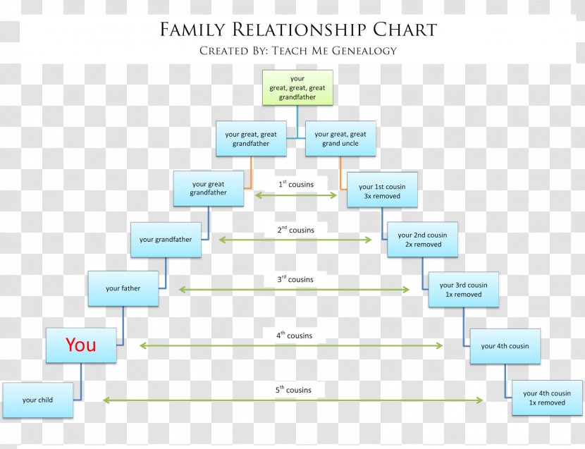 Family Tree Genealogy Cousin Chart - Paper Transparent PNG