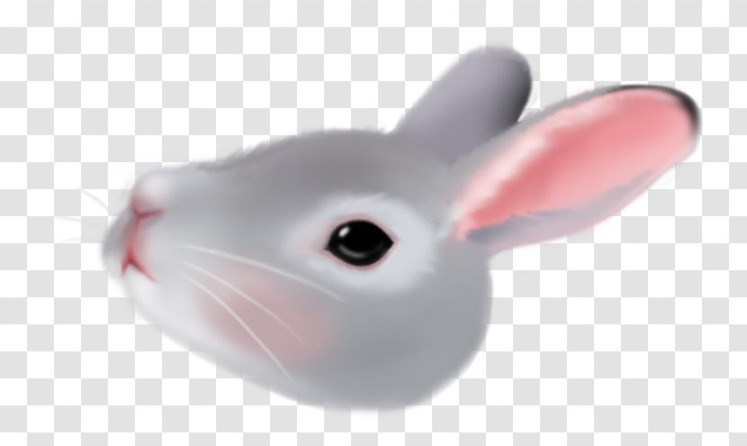Domestic Rabbit Product Whiskers Computer Mouse Snout - Choco Transparent PNG