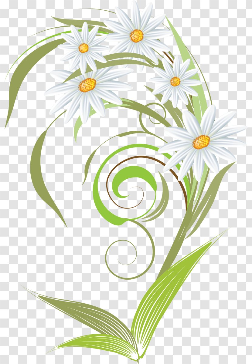 Chamomile Clip Art - Flower Bouquet - Camomile Transparent PNG