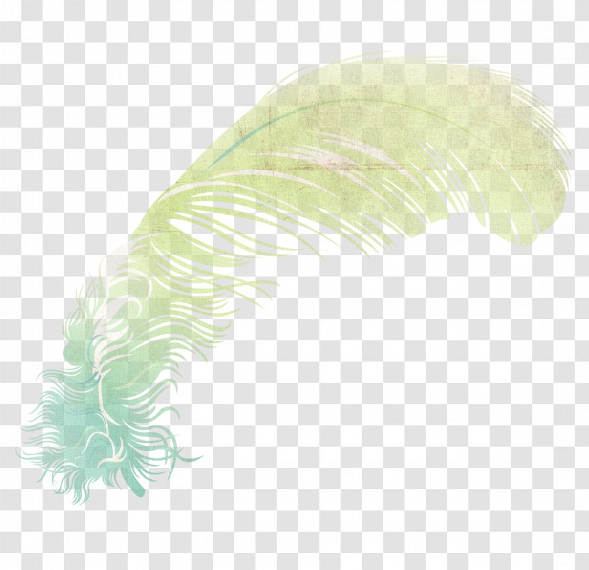 Feather Wing Illustration - Feathered Dinosaur - Color Wings,Fantasy Transparent PNG