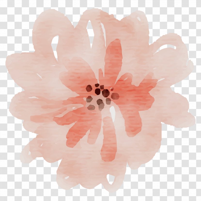 Pink Flower Cartoon - Drawing - Wildflower Hair Accessory Transparent PNG