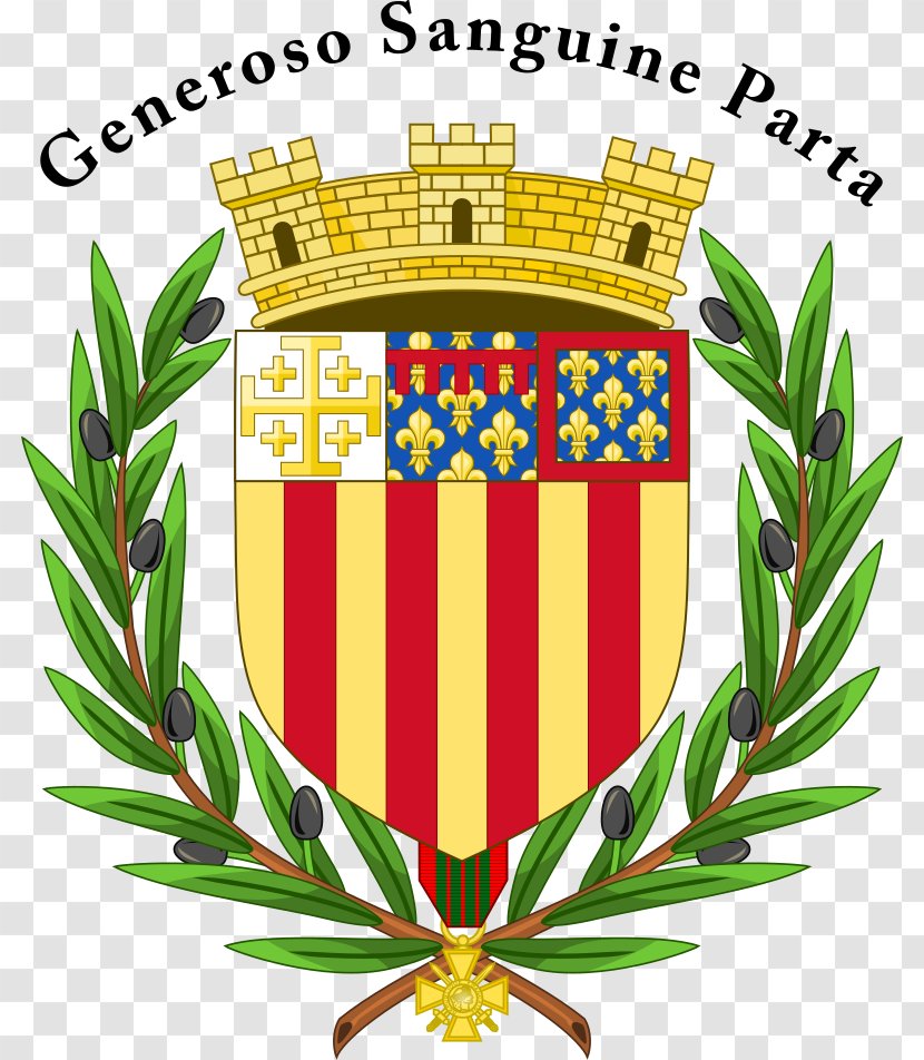 Aix-en-Provence Paris Kingdom Of France Constitutional Cabinet Louis XVI City - Plant - Provenccedilal Filigree Transparent PNG