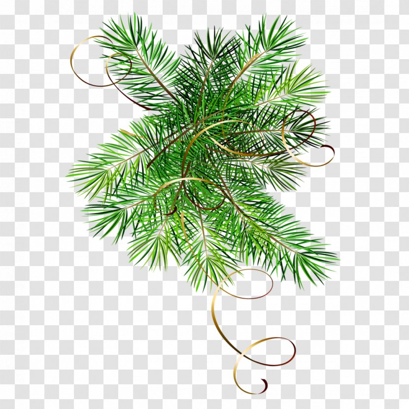 Christmas New Year Tree Blog Holiday Clip Art - Ornament - Fir-tree Transparent PNG