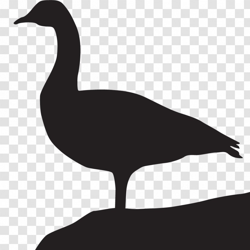 Goose All About Birds Duck Cornell Lab Of Ornithology - Fowl Transparent PNG