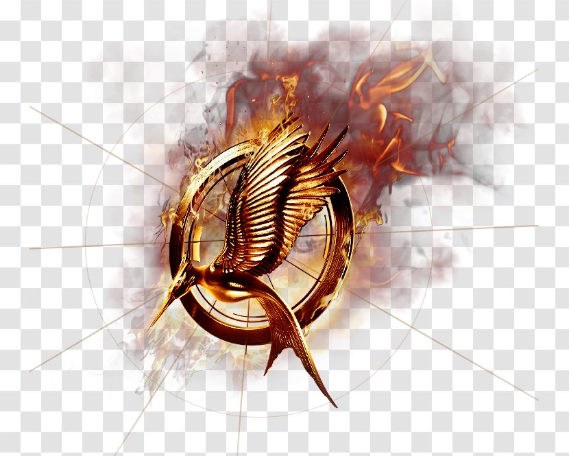 Mockingjay Katniss Everdeen Catching Fire President Alma Coin Gale Hawthorne - Issaquah Food And Clothing Bank - The Hunger Games Transparent PNG