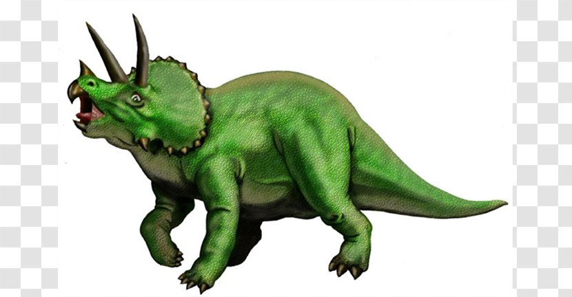 Triceratops Velociraptor Stegosaurus Dinosaur Habitats - Fictional Character Transparent PNG