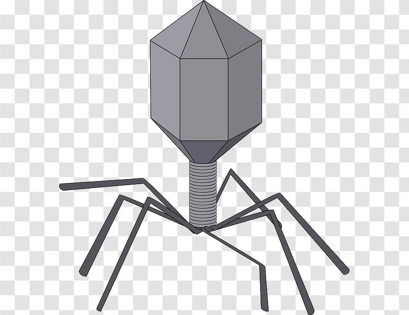 Viral Vector Virus Bacteriophage Clip Art - Red Allogeneic Cell Transparent PNG