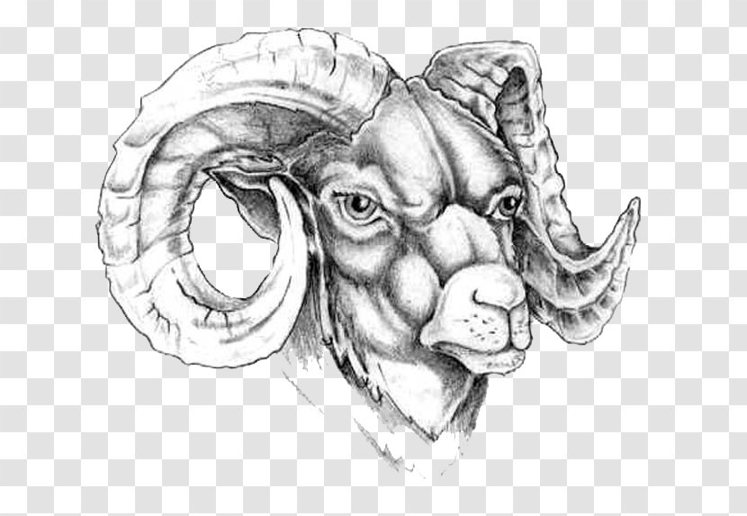 Goat Old School (tattoo) Aries Tattoo Ink - Organism Transparent PNG