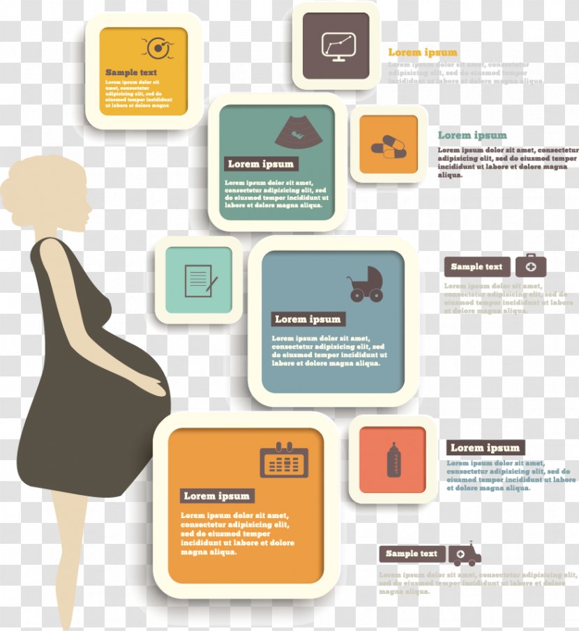 Pregnancy Infographic Childbirth Clip Art - Woman - Cartoon Pregnant Women Vector Material Transparent PNG