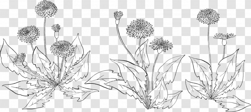 Floral Design Cut Flowers Plant Stem - Grass - Diente De Leon Dibujo Transparent PNG