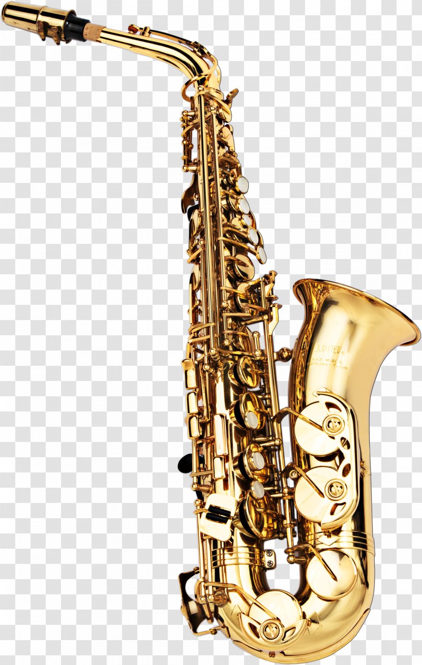 Baritone Saxophone Icon - Tree Transparent PNG