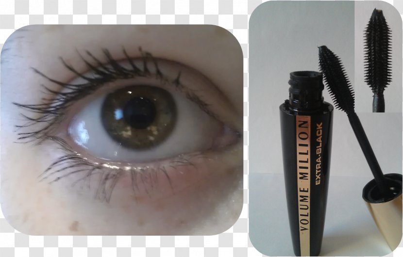 Cosmetics Eyelash Eyebrow Mascara Eye Liner - Lashes Transparent PNG