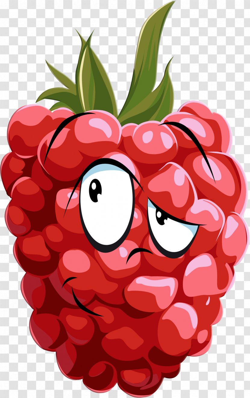 Raspberry Drawing - Juice - Raspberries Transparent PNG