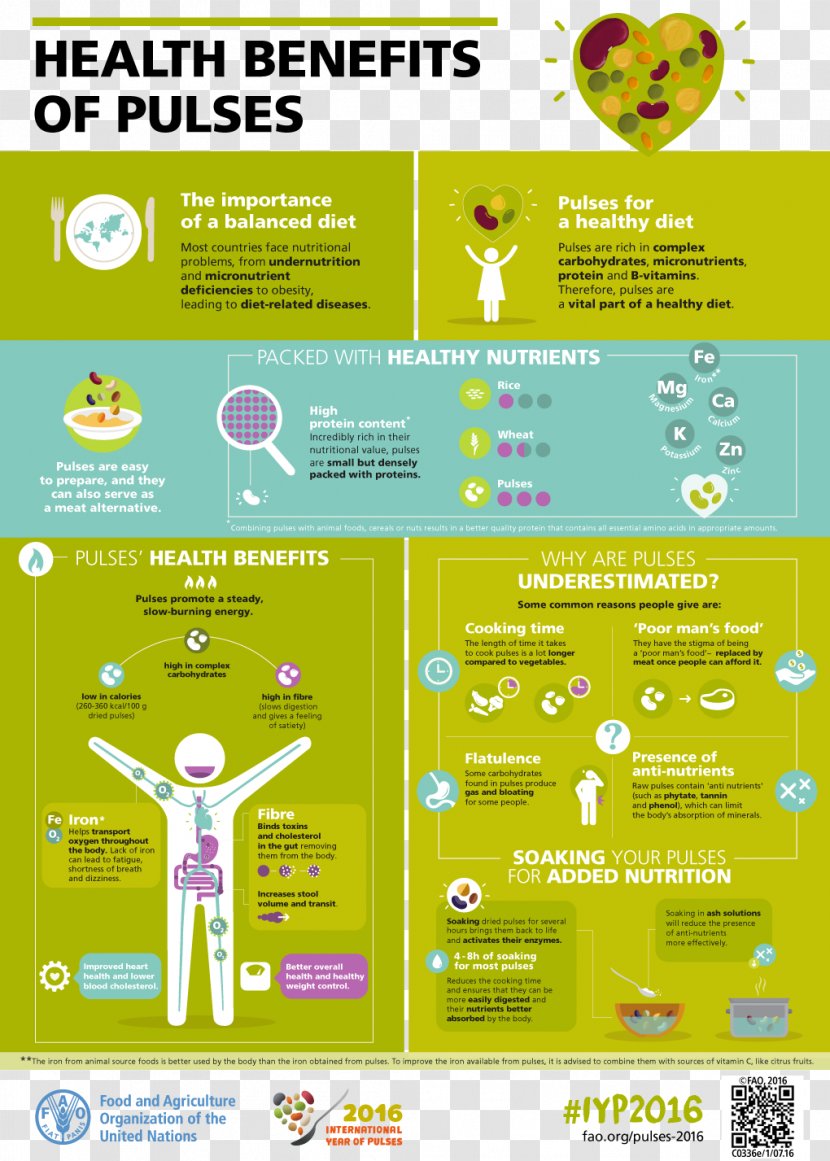 International Year Of Pulses Health Infographic Nutrition Food Transparent PNG