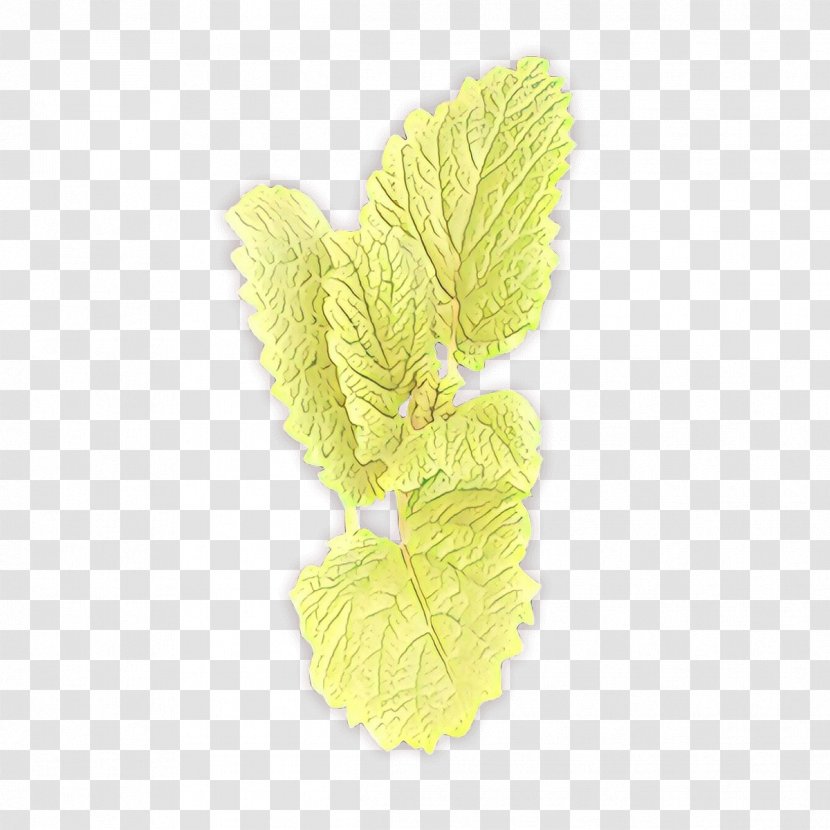 Yellow Flower - Herb Transparent PNG