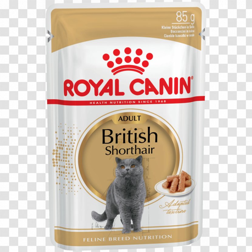 British Shorthair Persian Cat Food Dog Maine Coon Transparent PNG