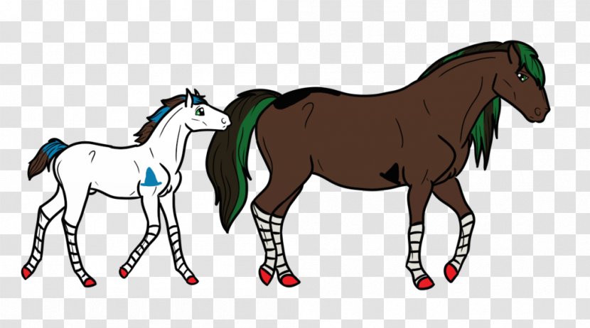 Mustang Foal Stallion Colt Mare - Equestrian - Wicked Witch Of The West Transparent PNG