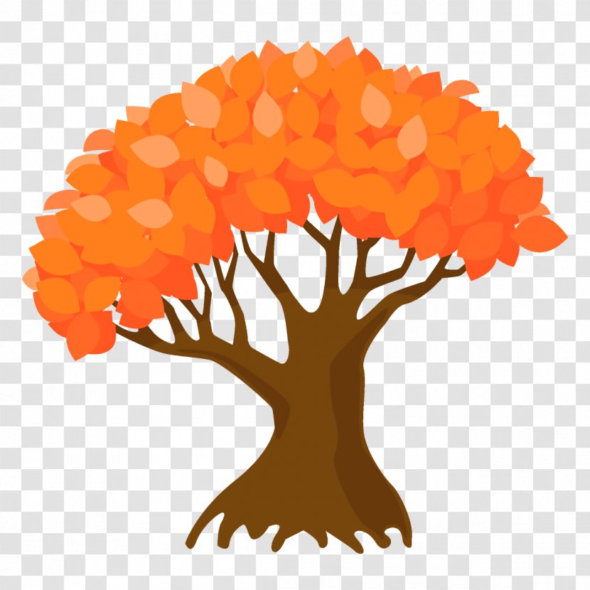 Orange - Plant - Tree Transparent PNG