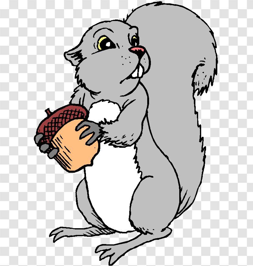 Eastern Gray Squirrel Red Clip Art The Western - Bear - Carnivoran Transparent PNG