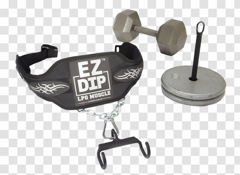 Dip Dumbbell Pull-up Olympic Weightlifting Bodybuilding - Bench - Ant Weight Lifting Transparent PNG