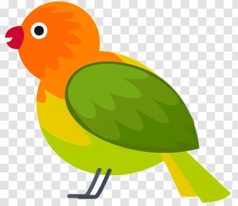 Green Background - Lovebird - Parakeet Yellow Transparent PNG