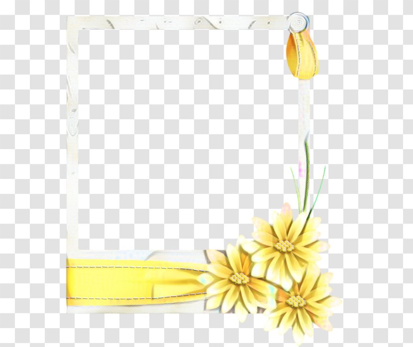 Flowers Background - Petal - Paper Product Wildflower Transparent PNG