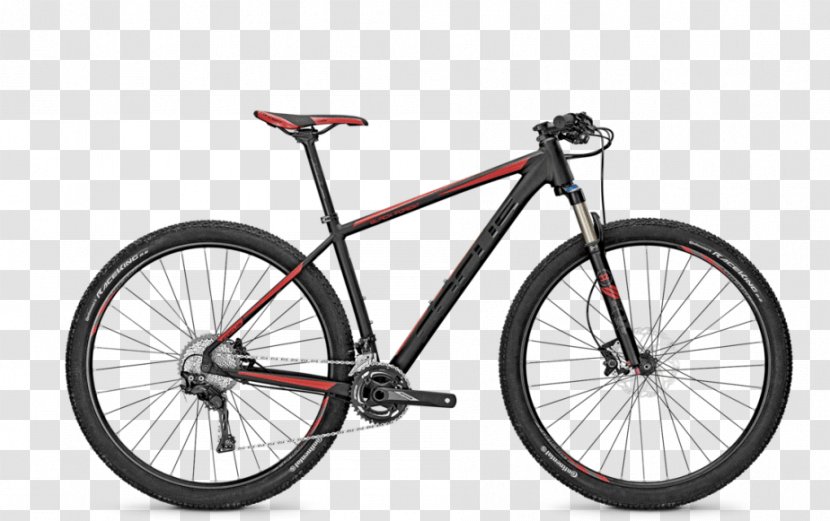 Bicycle Shop Mountain Bike Focus Bikes Cross-country Cycling - Tire - Black Forest Transparent PNG