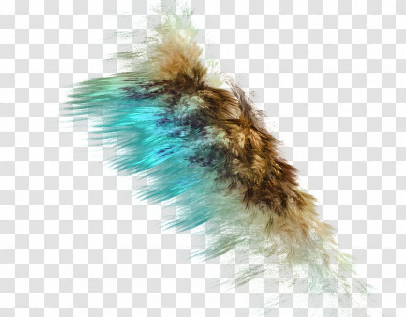 Fractal Clip Art - Tail Transparent PNG