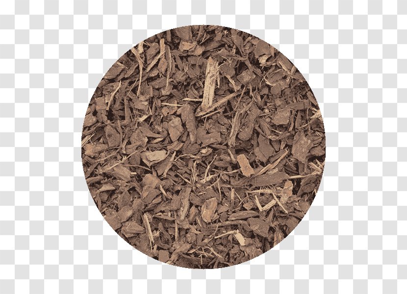 Hōjicha Wood /m/083vt Camouflage - Pine Bark Transparent PNG