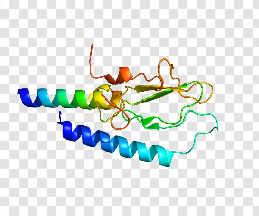 Glucagon-like Peptide-1 Receptor Agonist Peptide 1 - Diabetes Transparent PNG