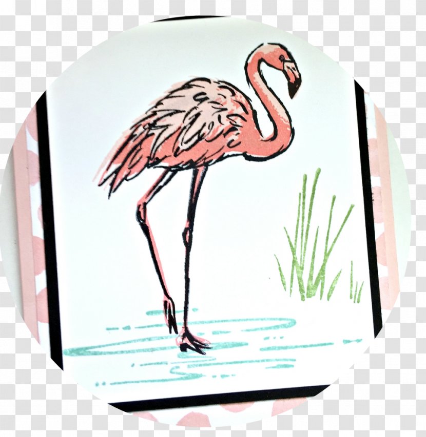 Stampin' Up Inc. Rubber Stamp Paper Postage Stamps Mail - Fauna - Creative Flamingos Transparent PNG