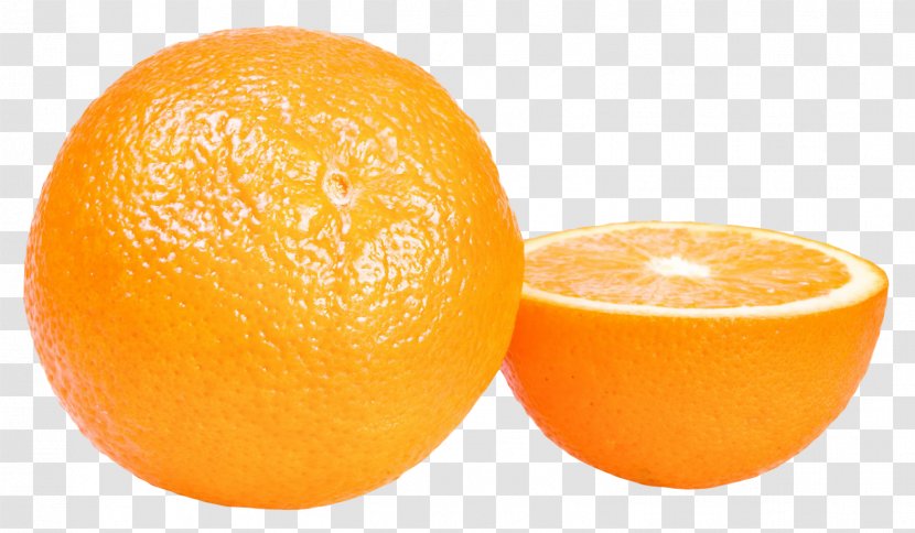 Juice Tangelo Orange Tangerine - Grapefruit - Oranges Transparent PNG
