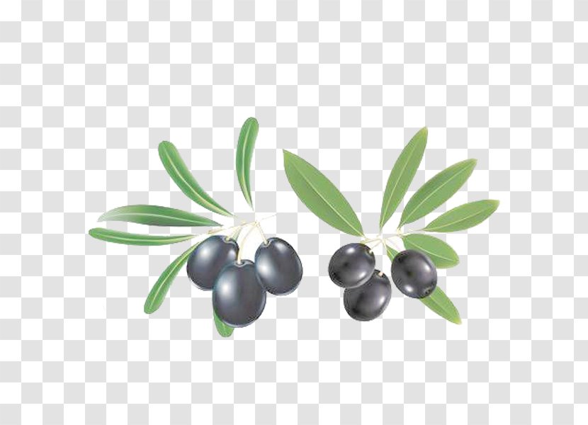 Mediterranean Cuisine Olive Oil Clip Art - Plant - Free Fruit Blueberry Pull Material Transparent PNG