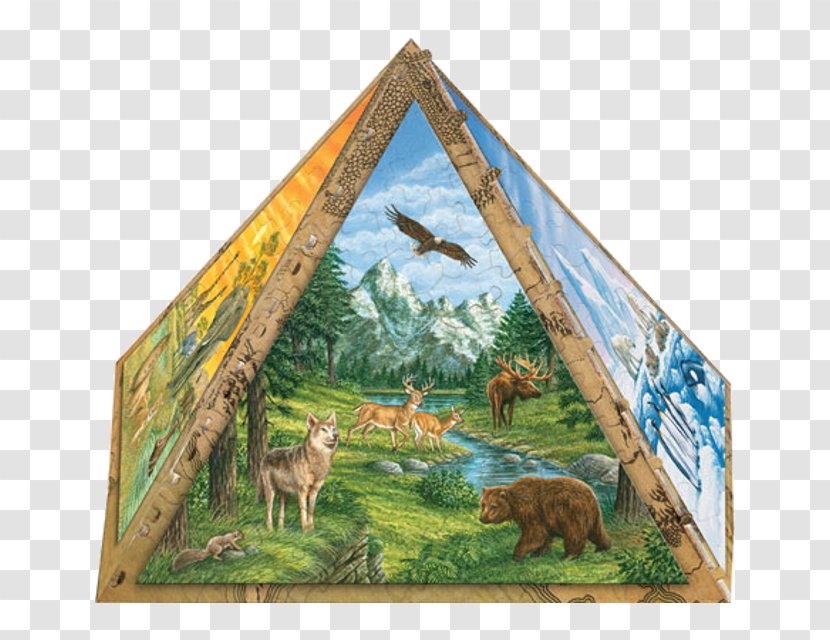 Pyramid Puzzle Painting Picture Frames Wildlife Animal Transparent PNG